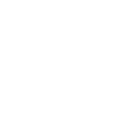 Logo Bernard Chaus, Inc.