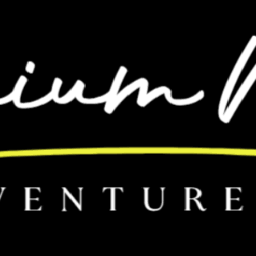 Logo Dauphin Technology, Inc.
