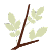 Logo Frasca Food & Wine, Inc.