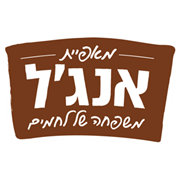 Logo Salomon A. Angel Ltd.