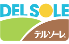 Logo Delsole Corp.