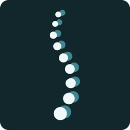 Logo Spine Solutions, Inc.