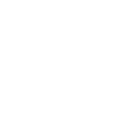 Logo AccuRev, Inc.