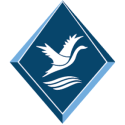 Logo Bayou Management Sdn. Bhd.