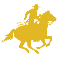 Logo Access Venture Partners LLC