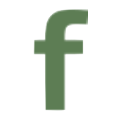 Logo Fabrinet Co. Ltd.