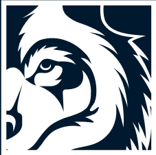 Logo Blue Wolf Capital Partners LLC