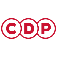 Logo CDP Group Ltd.