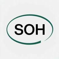 Logo South Ocean Holdings Ltd.