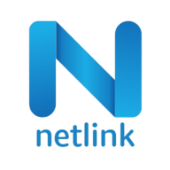 Logo Netlink Software Group America, Inc.