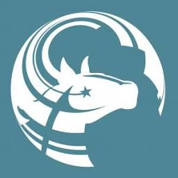Logo Greater Irving-Las Colinas Chamber of Commerce