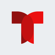 Logo Telemundo Network Group LLC