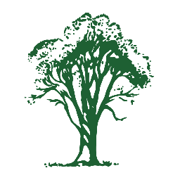 Logo De Visscher Advisors LLC