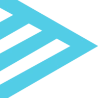 Logo Naylor Association Solutions
