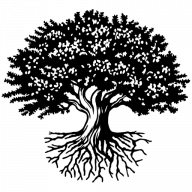 Logo National Student Clearinghouse