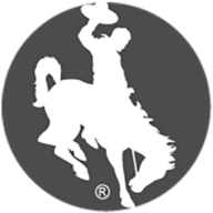Logo Wyoming Society of Certified Public Accountants