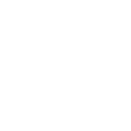 Logo Remedy Pharmaceuticals, Inc.