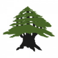 Logo Cedar Ventures LLC