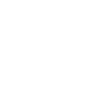 Logo PFP A/S