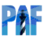Logo Patient Advocate Foundation, Inc.