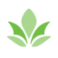 Logo Lighthouse for the Blind of the Palm Beaches, Inc.