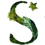 Logo Starwood Hotels & Resorts