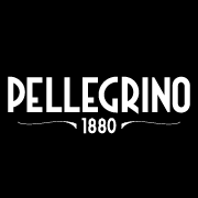 Logo Carlo Pellegrino & C. SpA