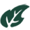 Logo Green Peru SA