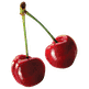 Logo J.O. Sims Ltd.