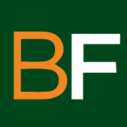 Logo BayFirst Solutions LLC