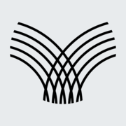 Logo Virgo Investment Group LLC