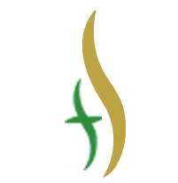 Logo Foundation Securities Pvt Ltd.