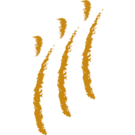 Logo The Northwest Area Foundation