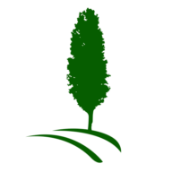Logo Poplar Lane Holdings Ltd.