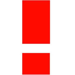 Logo ActionAid International USA