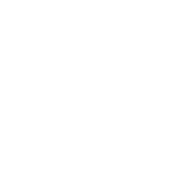 Logo Netgain Systems Pte Ltd.