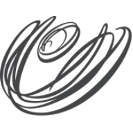 Logo The Ulster Orchestra Society Ltd.