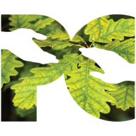 Logo Portland College