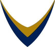 Logo Victory Solutions, Inc.