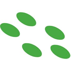 Logo VGXI, Inc.