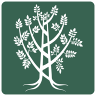 Logo Temple Beth Elohim