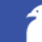 Logo Flint Advisory LLC