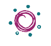 Logo Hawaii Cord Blood Bank