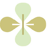 Logo Medicskin Holdings Ltd.