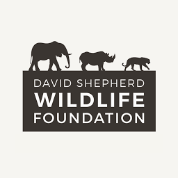 Logo The David Shepherd Wildlife Foundation