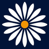 Logo Daisy Surgery Line Ltd.