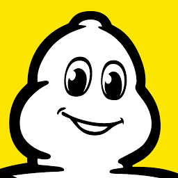 Logo PT Michelin Indonesia