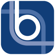Logo Bulk SRL