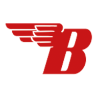 Logo BSA Co. Ltd.