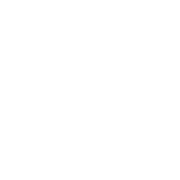 Logo Prosperus Invest doo